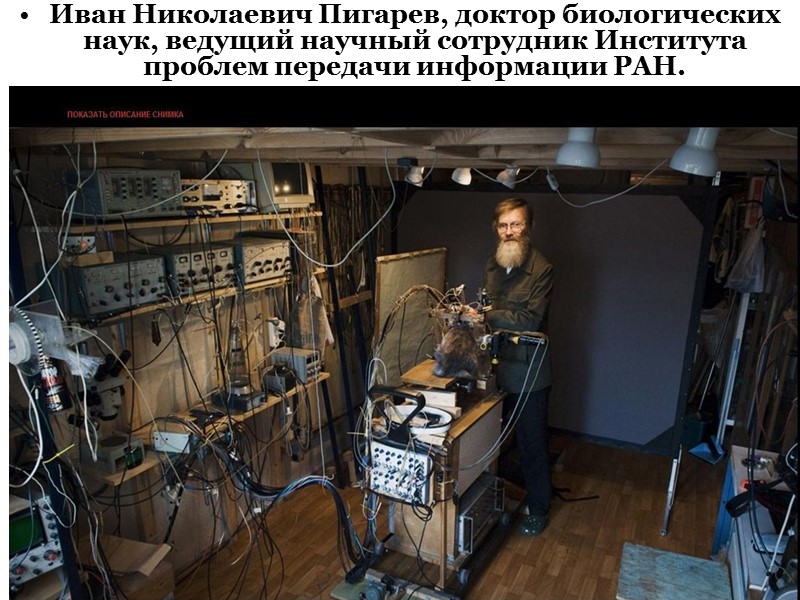 Иван Николаевич Пигарев, доктор биологических наук, ведущий научный сотрудник Института проблем передачи информации РАН.